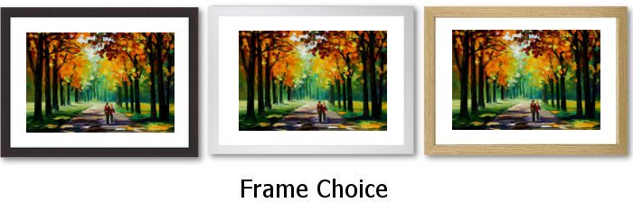 Frame Choice