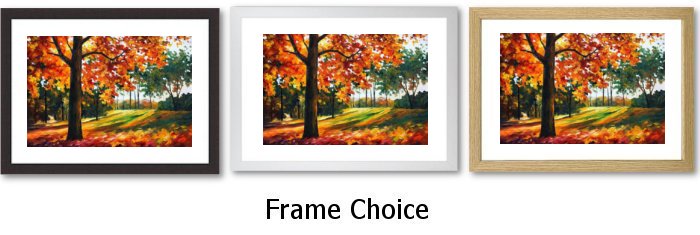 Frame Choice