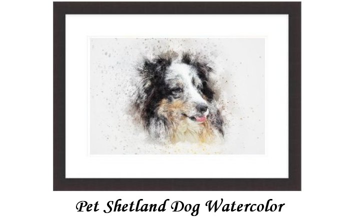 Pet Shetland Dog Watercolor