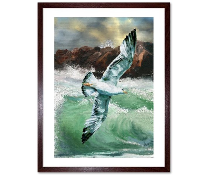 Gulls in Flight Framed Prints