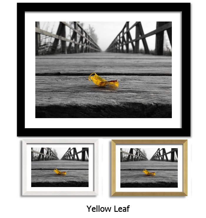 Yellow Leaf Framed Print