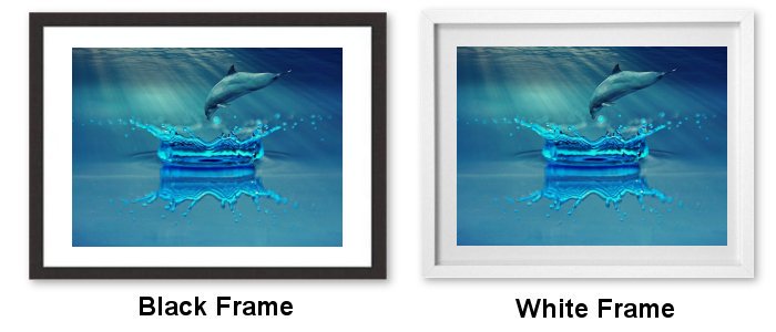 Select Your Frame