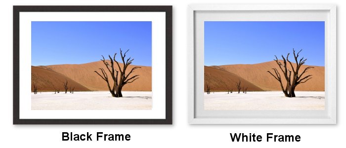 Select Your Frame