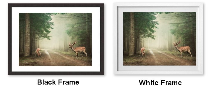 Select Your Frame