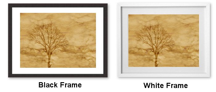 Select Your Frame