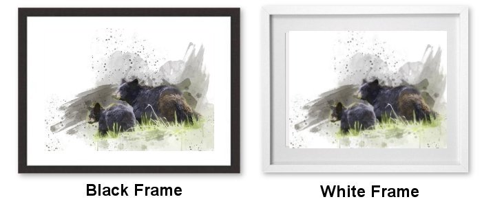 Select Your Frame
