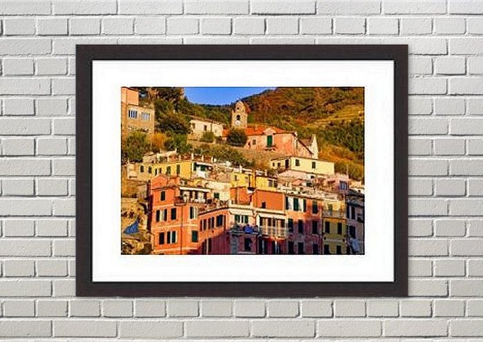  Framed Print