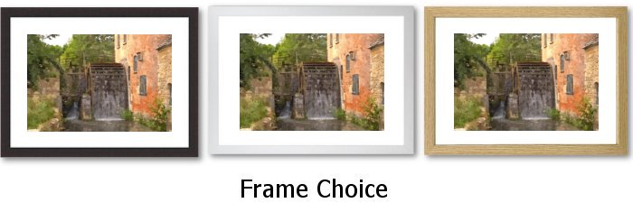 Frame Choice