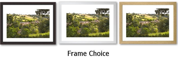 Frame Choice