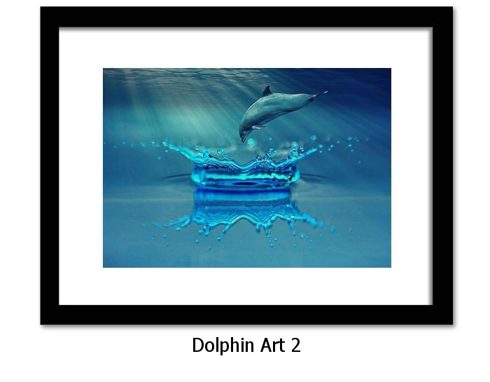 Dolphin Art Print