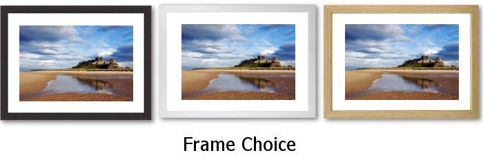 Frame Choice