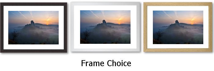 Frame Choice