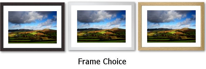 Frame Choice