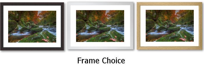 Frame Choice