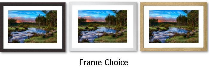 Frame Choice