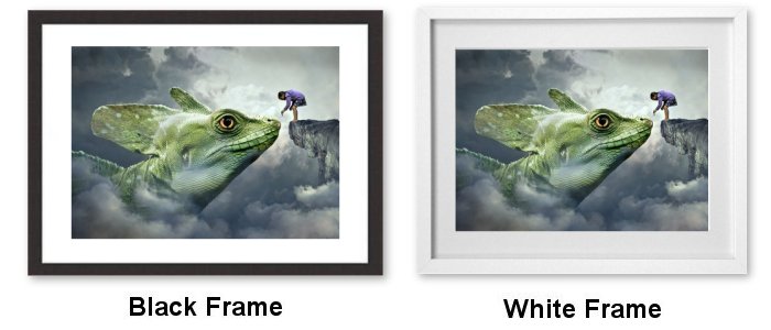 Fantasy Dragon And Feeding Girl Framed Print