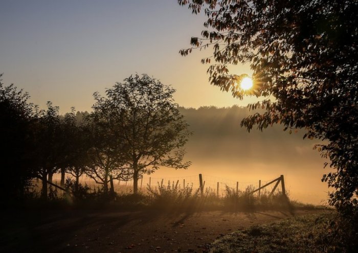 Foggy Landscape Wall At Print