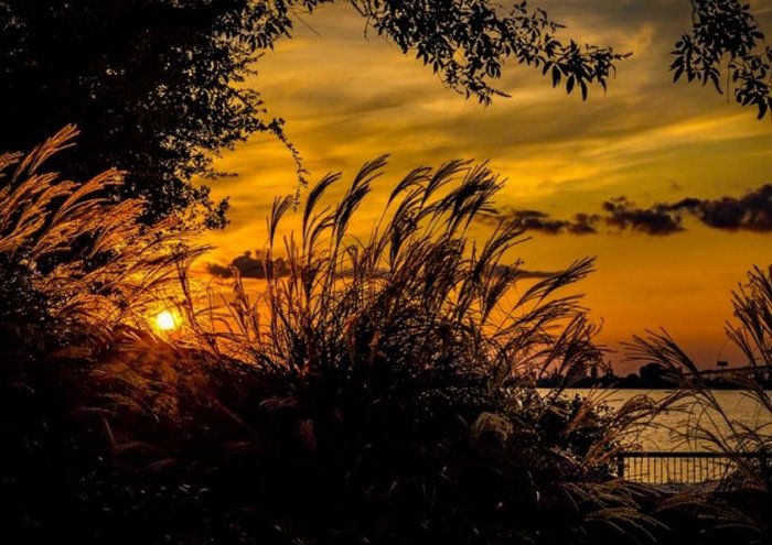 Sunset Landscape Wall At Print