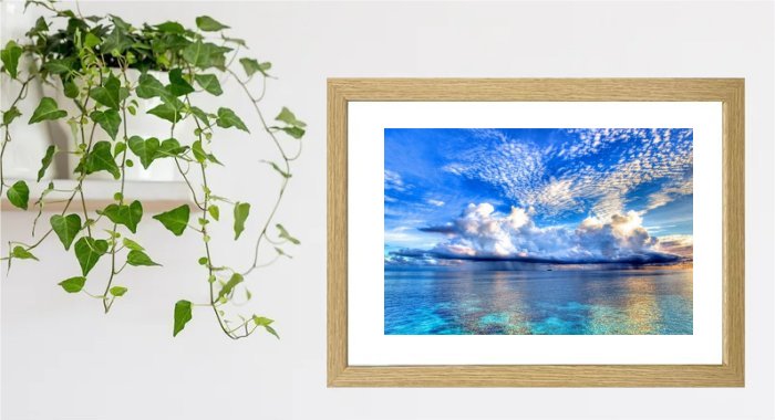 New Day Over The Ocean Framed Print