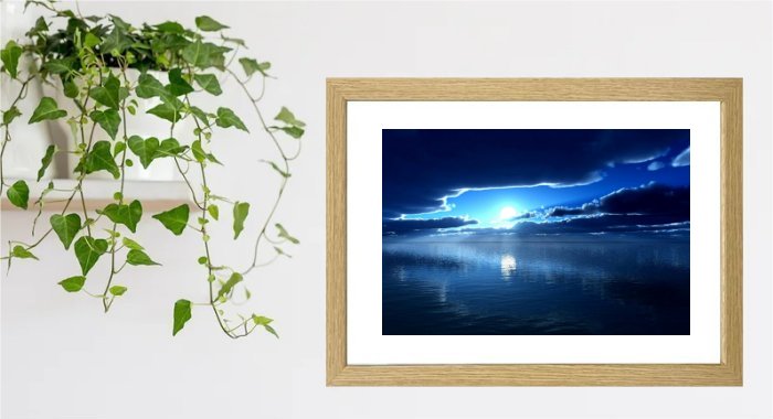 Moonlight Over The Ocean Framed Print