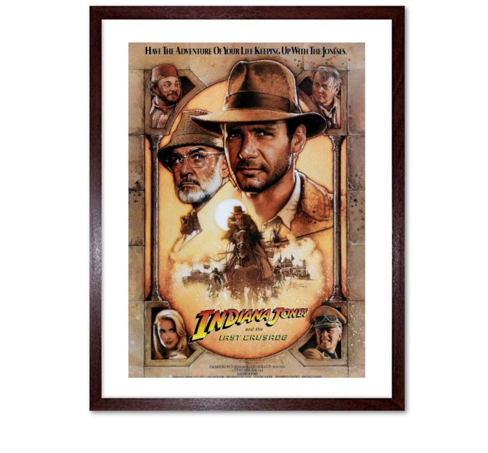 Raiders Of The Lost Ark Framed Prints