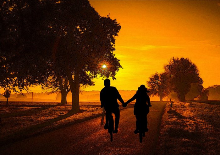 Into The Sunset