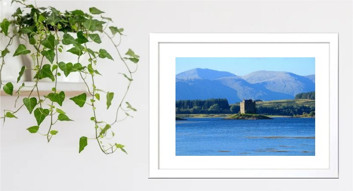 Highland Island Castle Framed Print