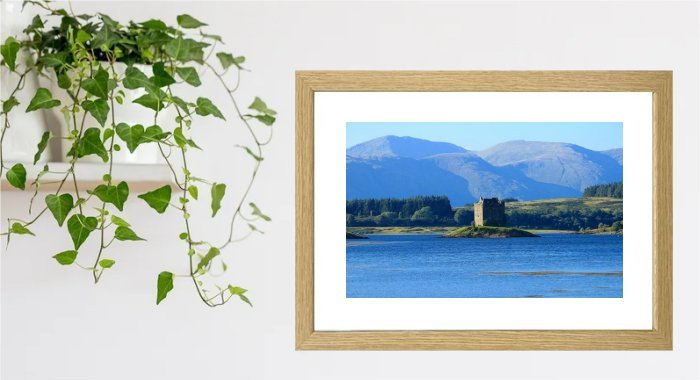 Highland Island Castle Framed Print