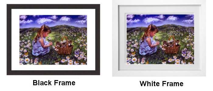 Frame Choice