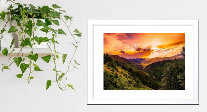Sunrise Framed Print
