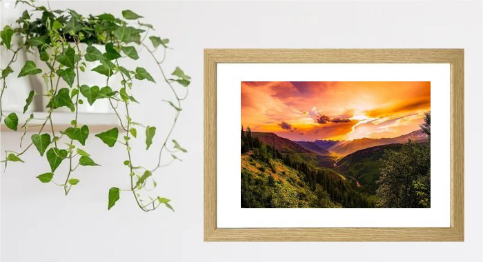 Sunrise Framed Print