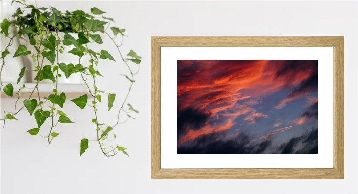 Sunset Framed Print
