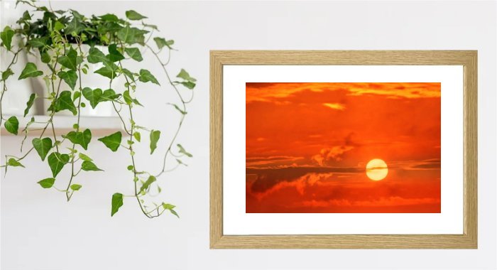 Sunrise Framed Print