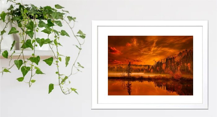 Sunset Framed Print