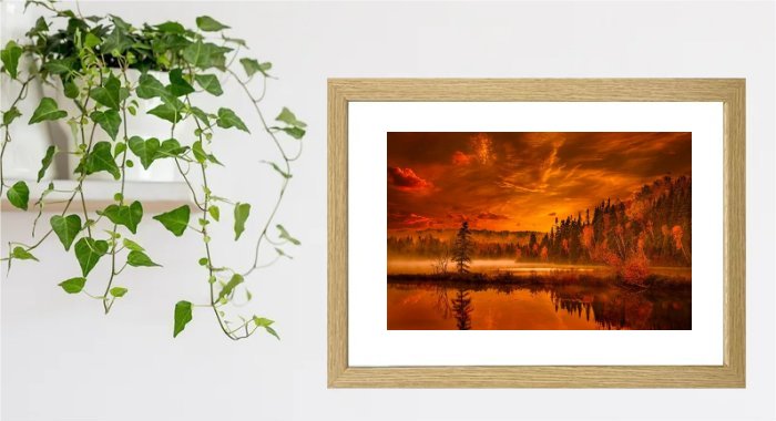 Sunset Framed Print