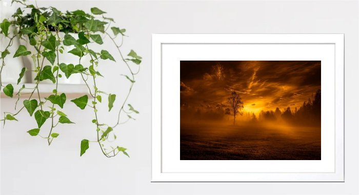 Sunset Framed Print Sunset Framed Print
