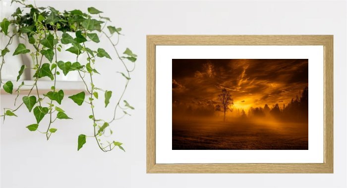 Sunset Framed Print