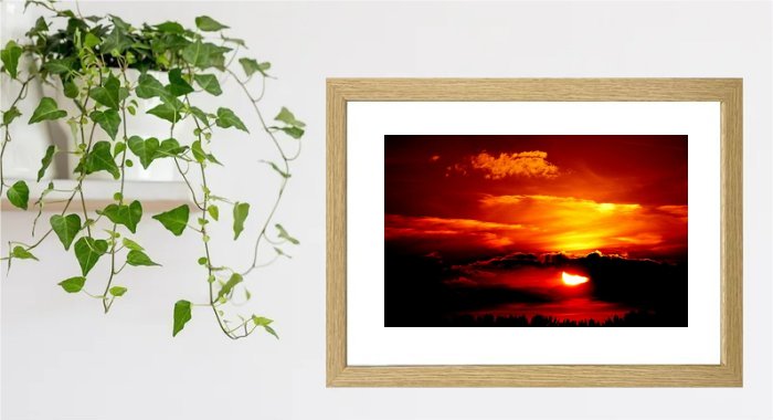 Sunset Framed Print