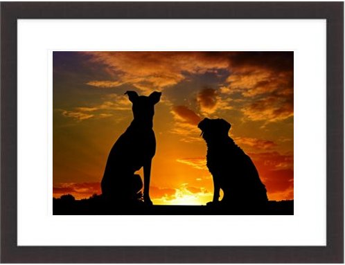 Dogs Sunset Friends Framed Print