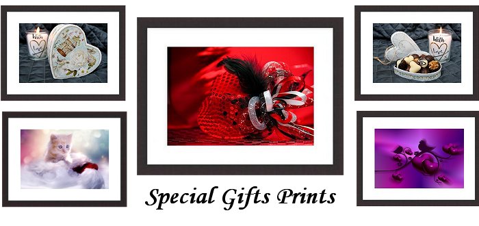 Special Gifts Framed Prints