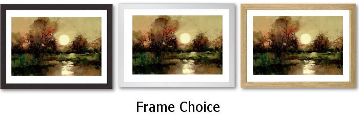 Frame Choice