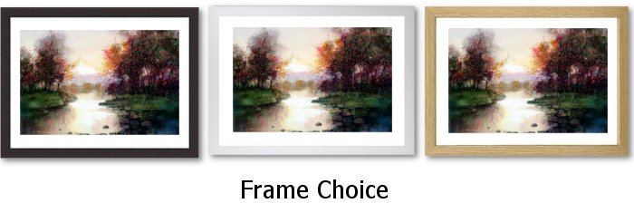 Frame Choice