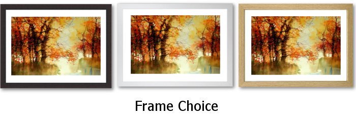 Frame Choice