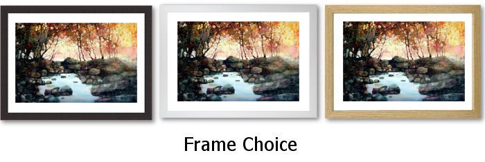 Frame Choice