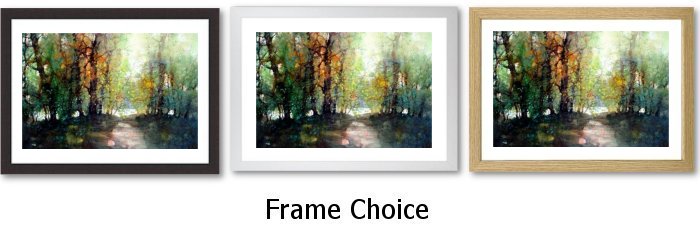 Frame Choice