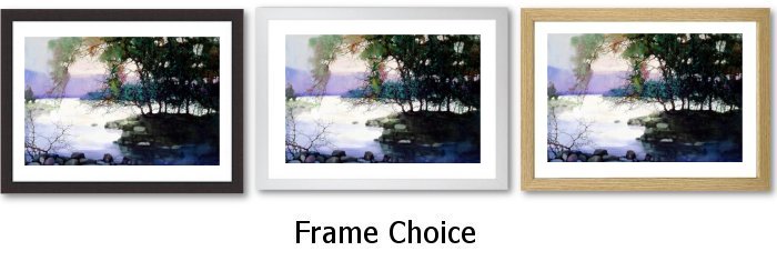 Frame Choice