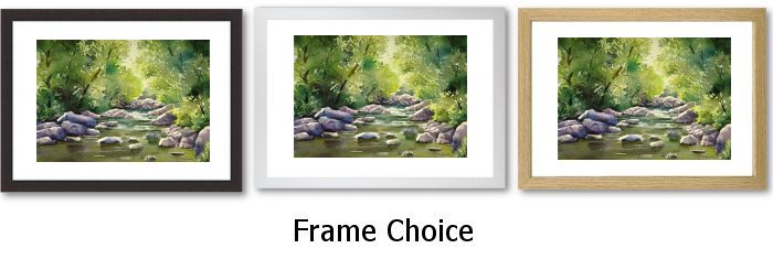 Frame Choice