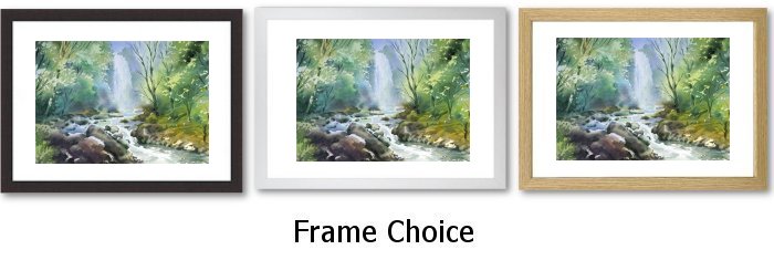 Frame Choice