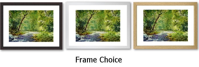 Frame Choice