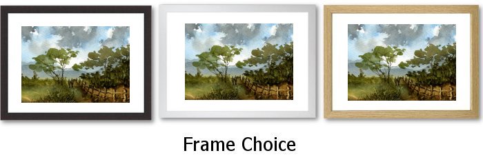 Frame Choice